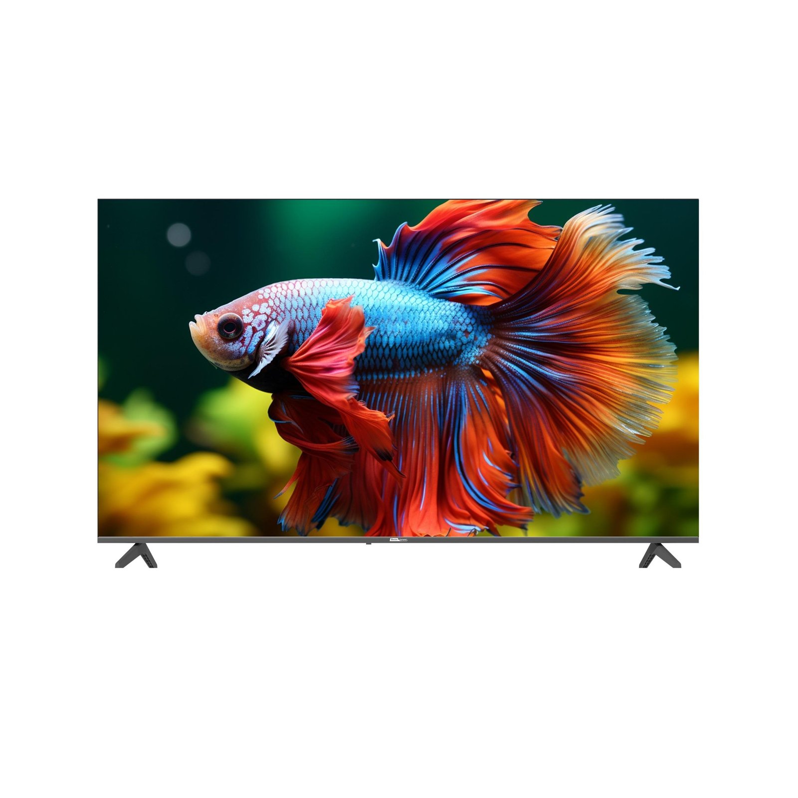 إلكترو جنرال شاشة تلفزيون عالية الدقة 32 بوصة جودة صورة مذهلة، اتصال متعدد الاستخدامات، وتصميم أنيق | ELECTRO GENERAL MODEL NO: TH-32NRM